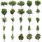 無料樹木素材セット 89個 free_trees_set03