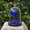 【order】 ローズドームBlue