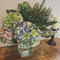 【 WILL GARDEN × Save the Flower farm 】Vol.2