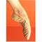 布バレエシューズ Soft Ballet Shoes
