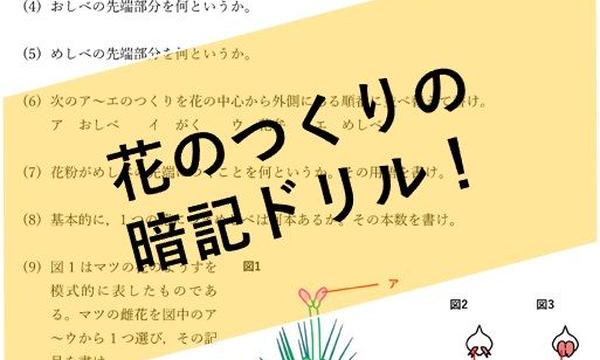 中学理科ポイントまとめと整理 オンラインショップ