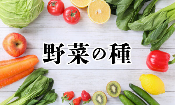 花さんぽ 種子 アートフラワー 栽培キット