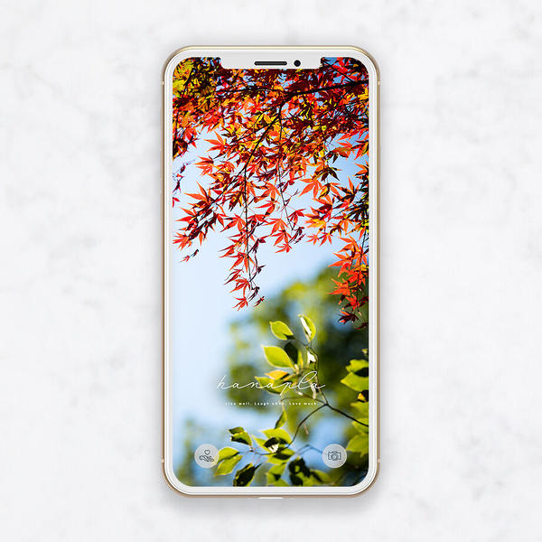 Hanapla ハナプラ の商品一覧 Note