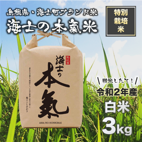 商品の画像