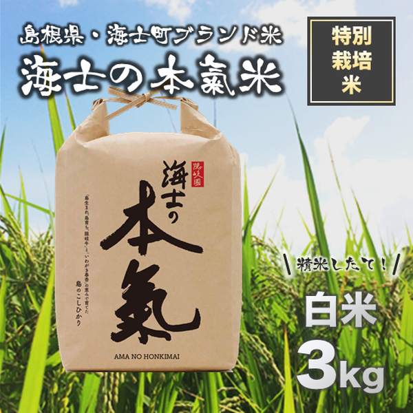 商品の画像