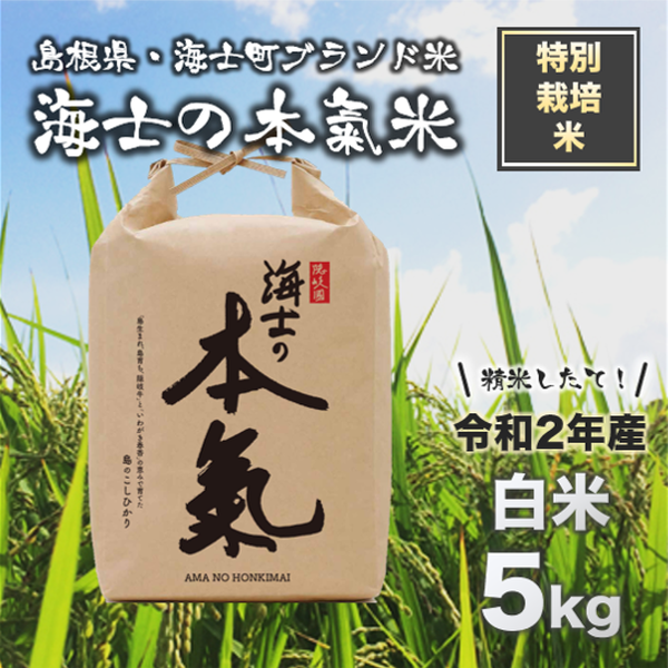 商品の画像