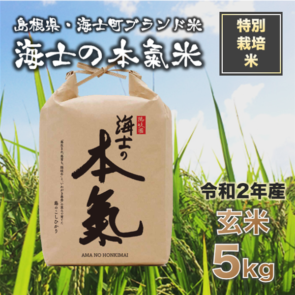 商品の画像