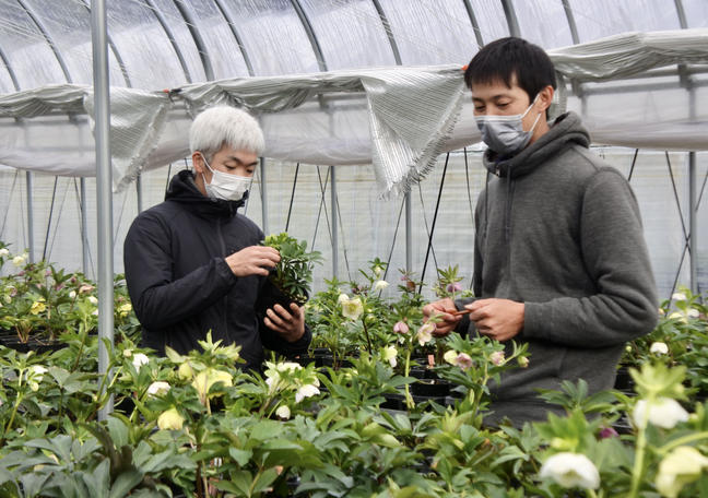ローザンベリー多和田公式オンラインストア