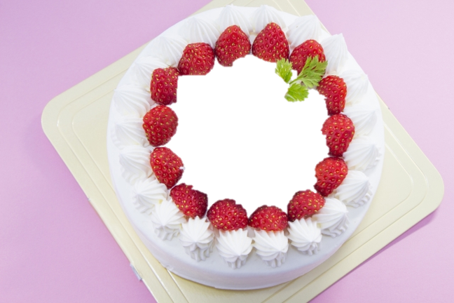 フォトケーキ素材 Com