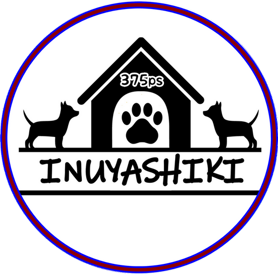 375ps Inuyashiki 375ps Inuyashiki