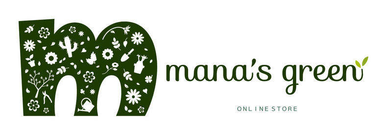 Mana S Green 塊根植物販売 マナズグリーン