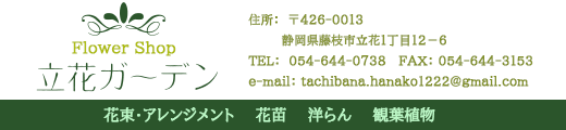 立花ガーデン フラワーショップ 公式通販 立花ガーデン フラワーショップ 公式通販