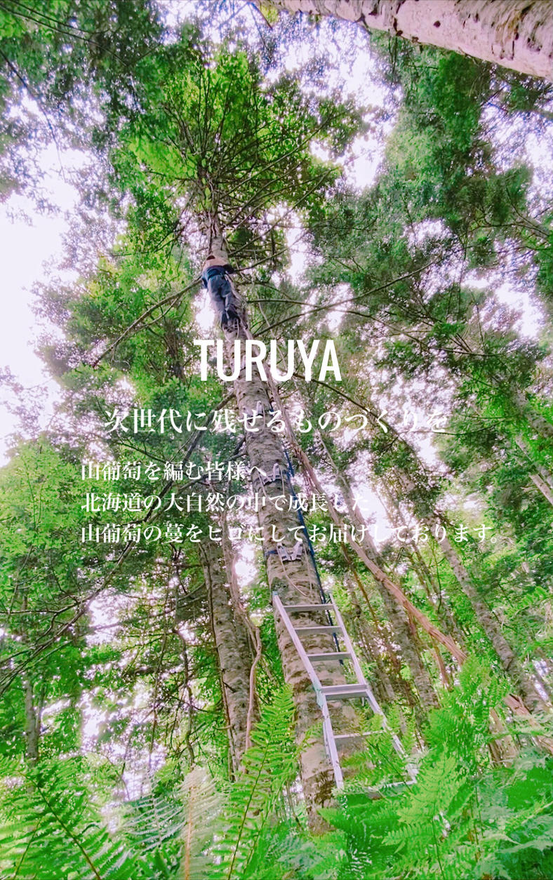 山葡萄のひごTURUYA 山葡萄のひごTURUYA