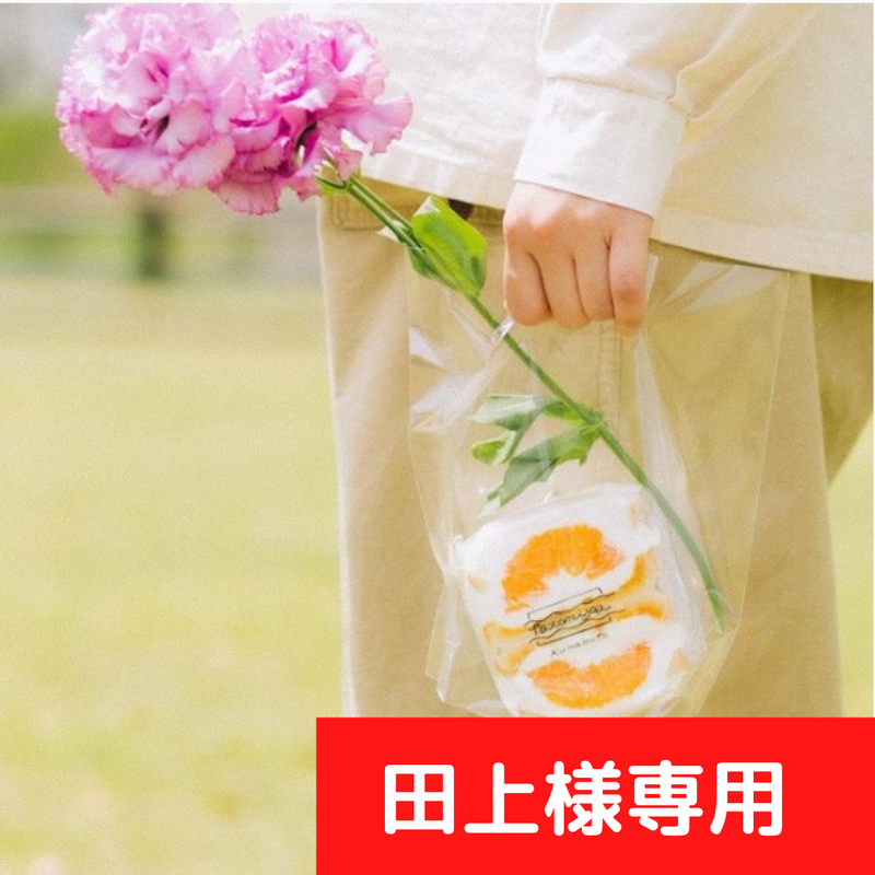 67%OFF!】 田上様専用の品 agapeeurope.org