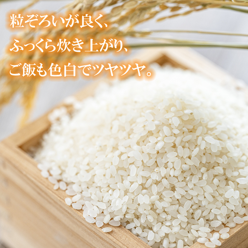 令和4年産新米にこまる 数量限定