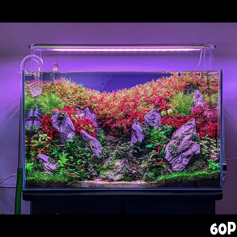 アクアリウム ライト WEEK AQUA T90 吊り下げスタンド付