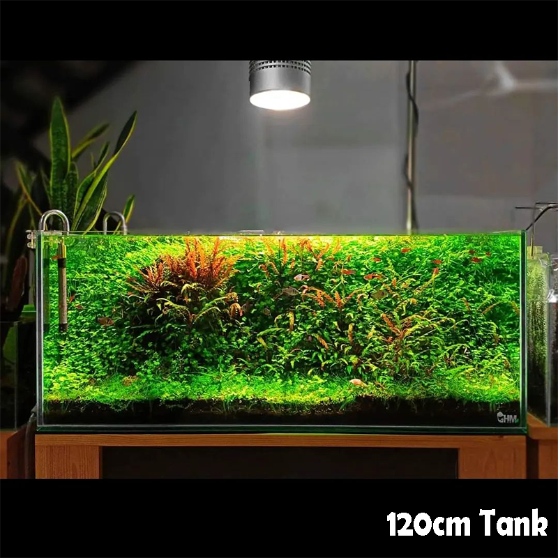 パ*ン様 アクアリウム引退品 Amazon | 金魚鉢 アクアリウム 小型水槽ミニ魚タンク 花瓶 観賞