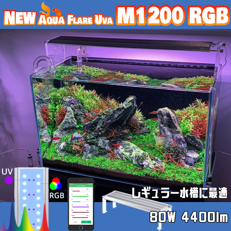 水槽 timtamtom ZOTAC RTX 2080 Ti ArcticStorm Watercooled GPU to be Released