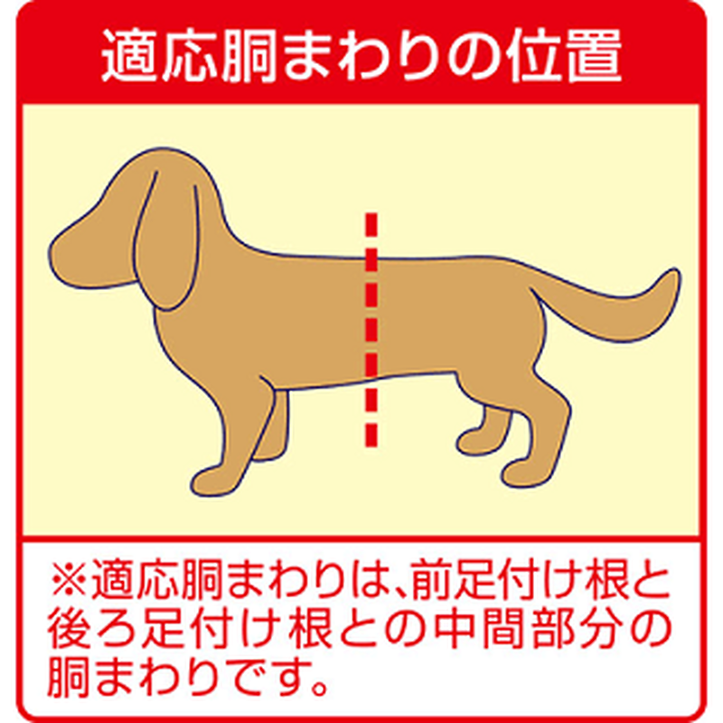 マナーウェア 女の子用 Lサイズ(中型犬用) ピンクリボン・青リボン 32