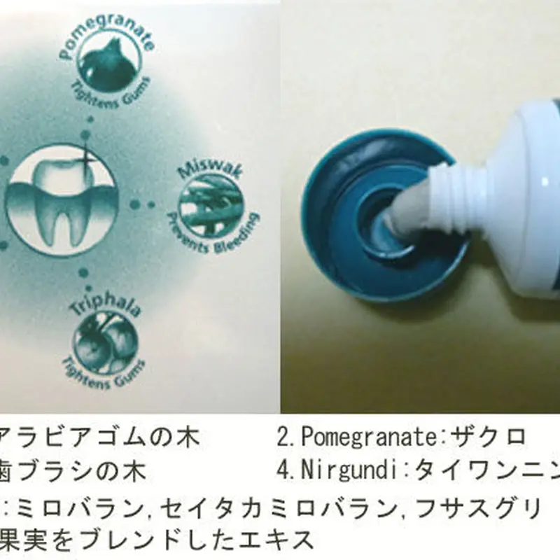 ヒマラヤ トゥースペイスト COMケア100g(歯磨き粉)Himalaya