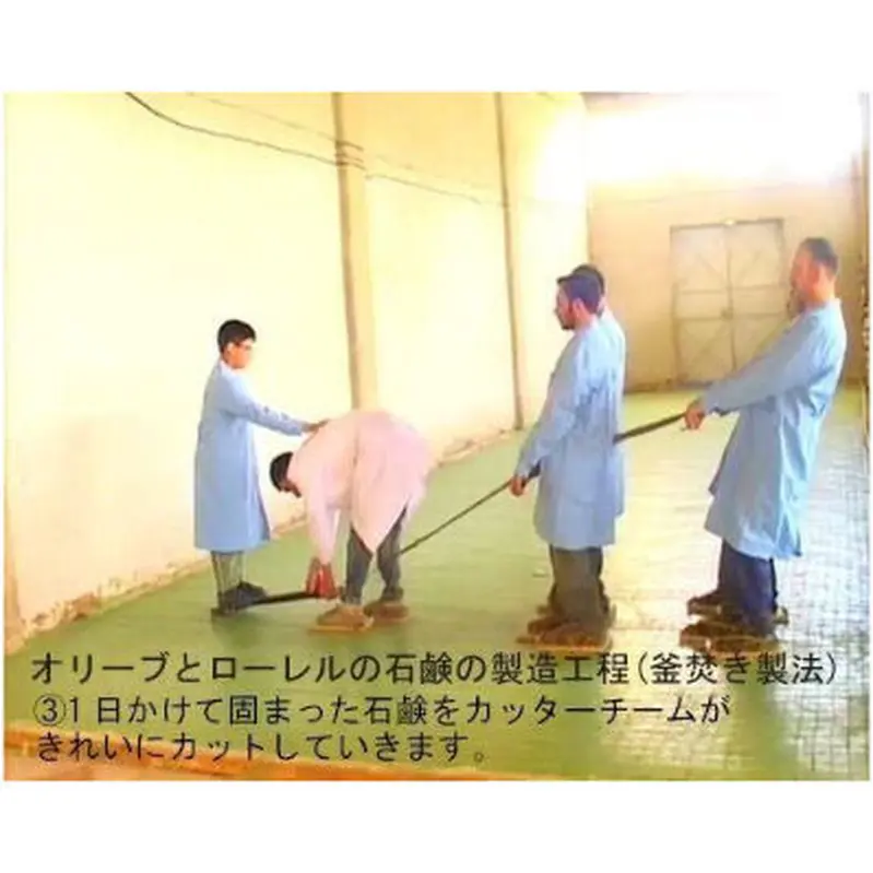 アレッポのソープ OLIVE 20 個セット アレッポの石鹸職人からの贈り物