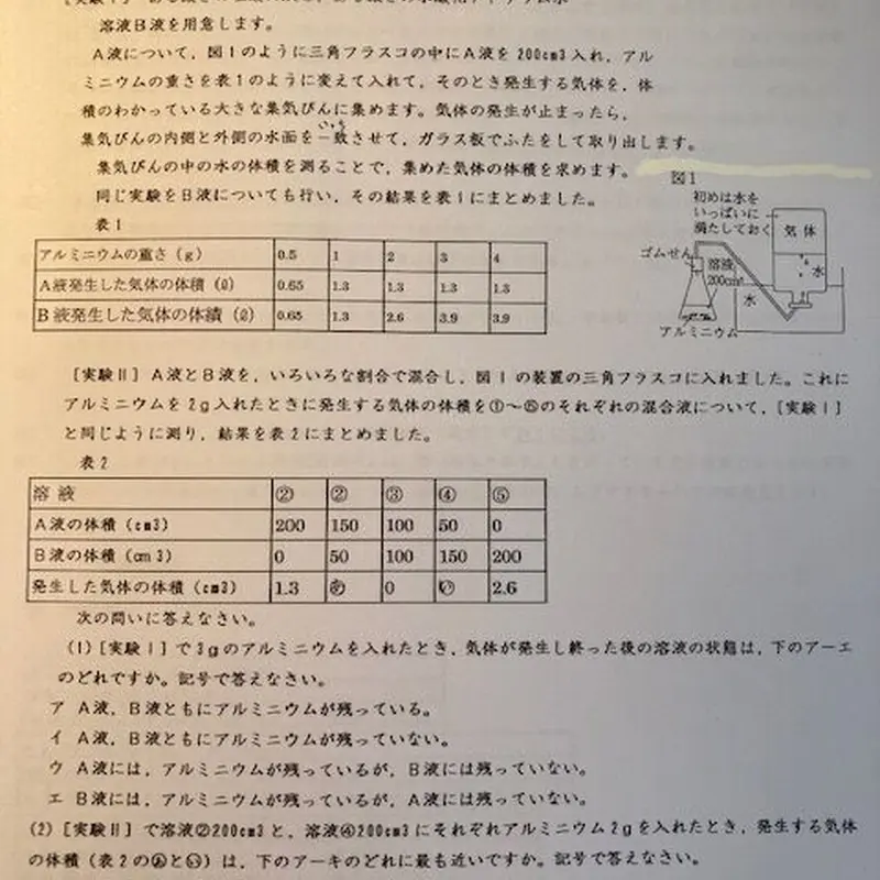 □中学受験 桜蔭中学校 2024年新攻略プリント（算数と分析理科）○算数