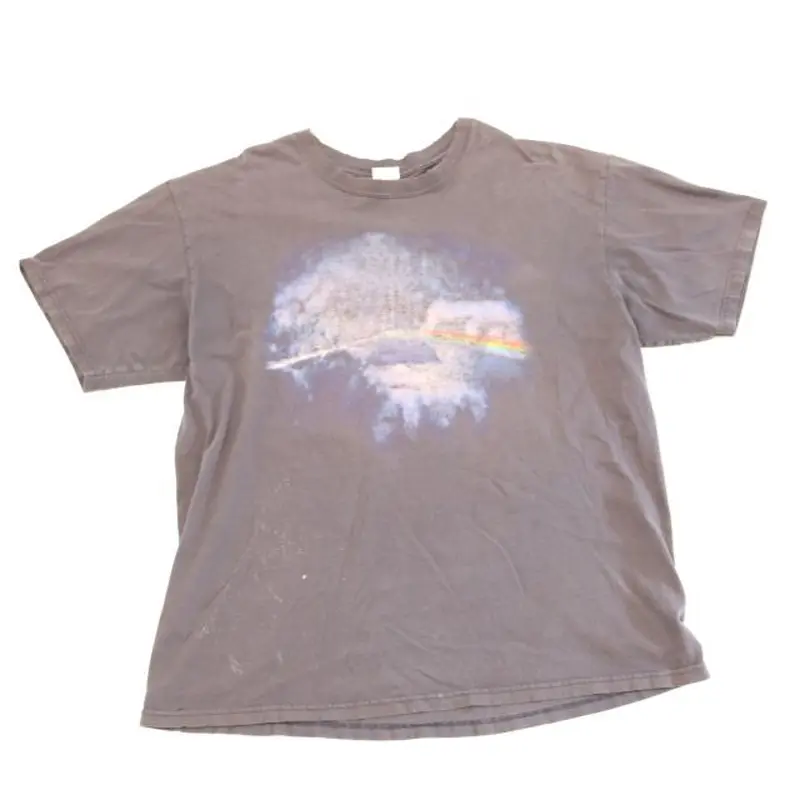 00s ピンクフロイド ツアーTシャツ Anvil Pink Floyd 2006 | Blue