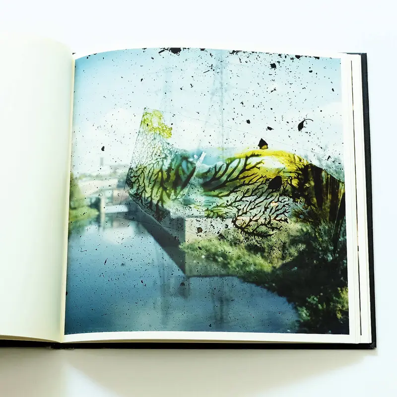 Stephen Gill: Talking to Ants | Book Ernest