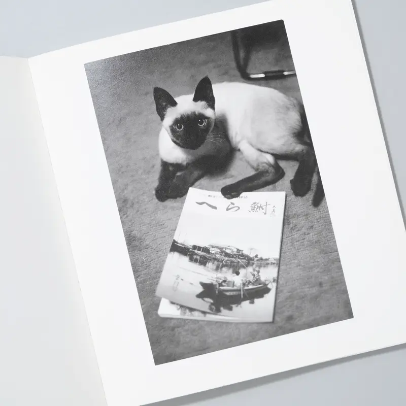 Wonderful Days / 深瀬昌久(Masahisa Fukase) | book o...
