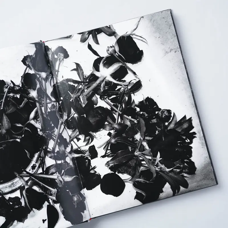 直筆サイン入り 森山大道 orizuru 写真集本 daido moriyama