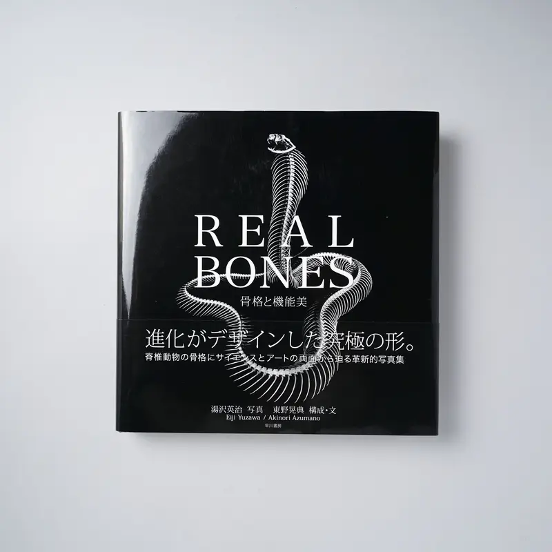 REAL BONES 骨格と機能美 / 写真:湯沢英治(Eiji Yuzawa)構成・文:東...