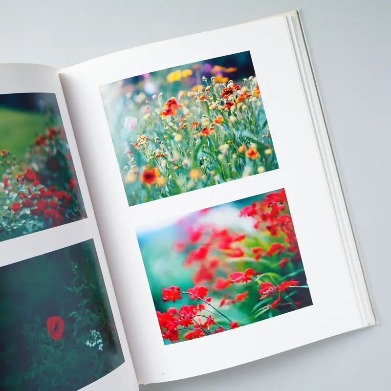 サイン入/Signed] Stream of consciousness / 鈴木理策 (R...