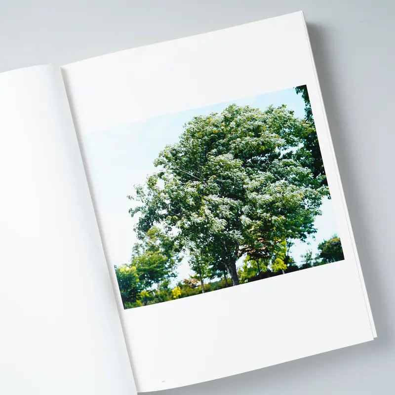 サイン入/Signed] Stream of consciousness / 鈴木理策 (R...