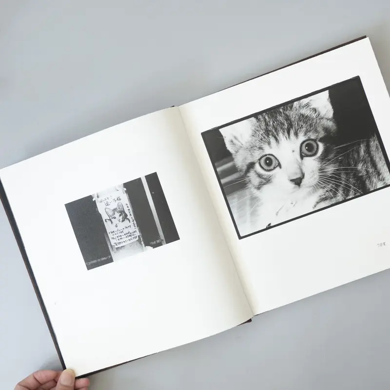 Afterword / 深瀬昌久(Masahisa Fukase) | book obscur...