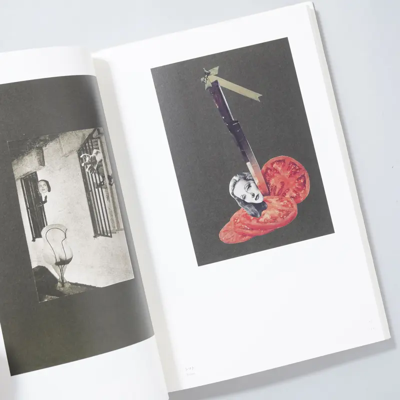 岡上淑子 全作品 / 岡上淑子(Yoshiko Okanoue) | book obscura...