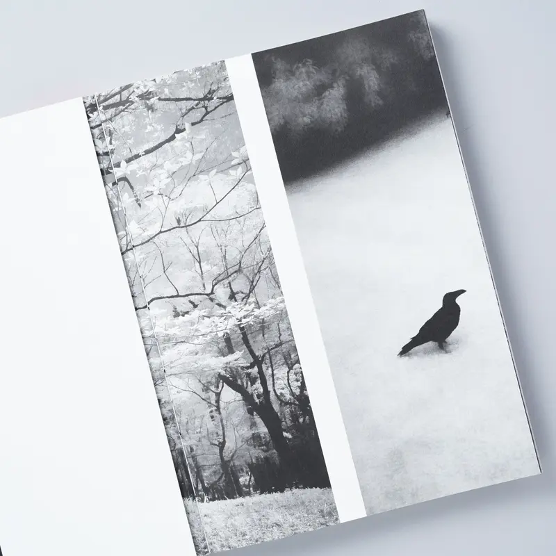 サイン入・新刊/Signed・New] SOMEWHERE NOT HERE / 渡部敏哉