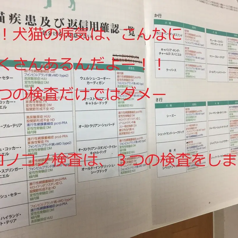 チワワ用「遺伝子検査申込セット」1項目検査できます。 チワワ用「遺伝子検査申込セット」1項目検査できます。
