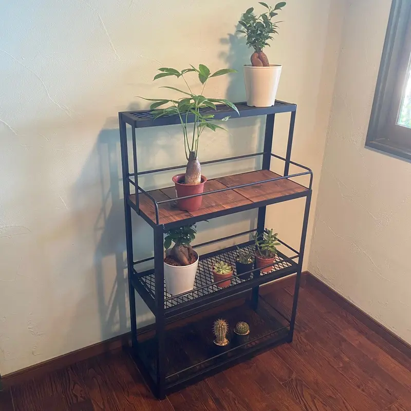 アイアン家具 インダストリアル 植物棚 無垢板 鉄家具 観葉植物 アガベ