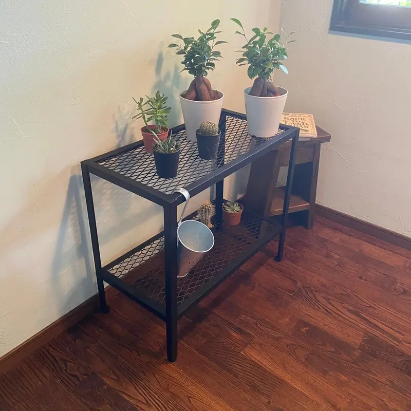 かごつき】男前インテリア棚2台植物多肉植物インダストリアル 911