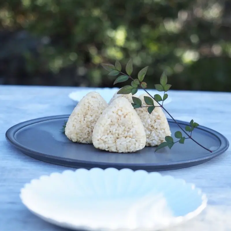 玄米塩むすび3pack(1pack10個入り)予約販売8/7(月)20:00〜 | DAY B...