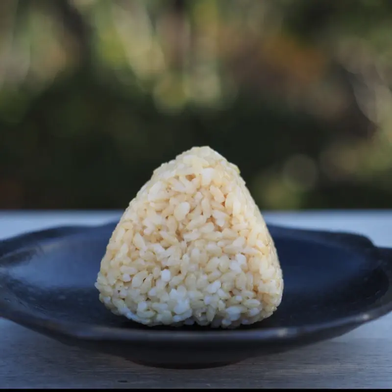 玄米塩むすび3pack(1pack10個入り)予約販売8/7(月)20:00〜 | DAY B...