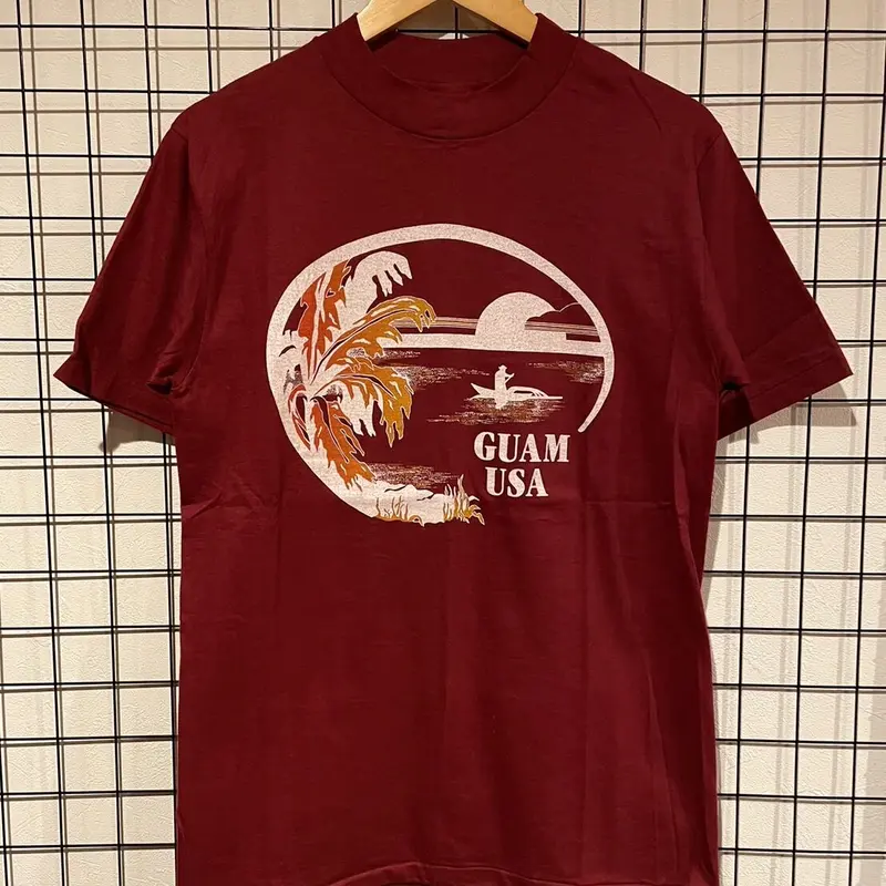 80s Hanes BEEFY 半袖Tシャツ アメリカ製 Mサイズ A323 | 古着屋Quest