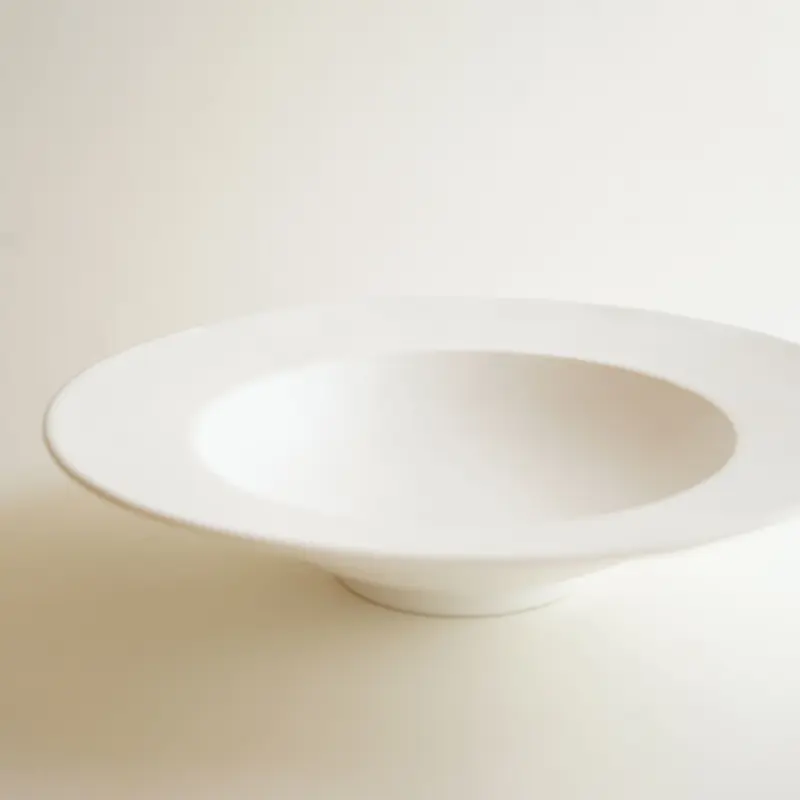 新品 安藤雅信 イタリア皿 2枚セット | www.yourpoll.co.uk