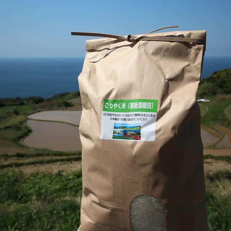 新米！山口県阿東産コシヒカリ30kg玄米【収穫直後の新米