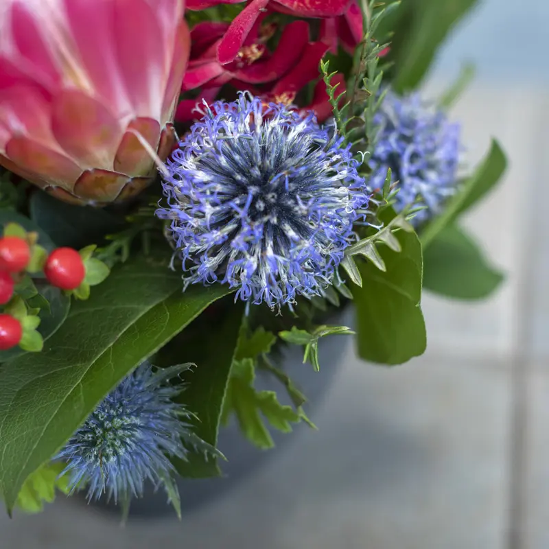 店頭受取｜御祝花・楽屋花アレンジメントＬ | 花福 オンラインショップ