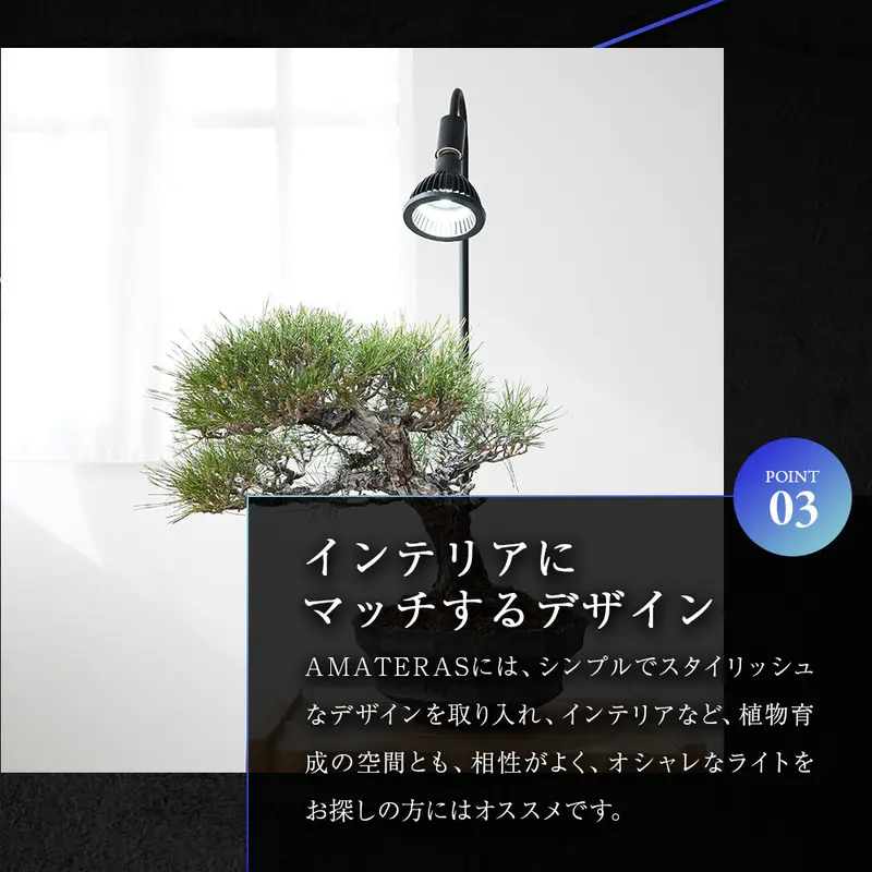 アマテラス 4点セット AMATERAS LED 10W アマテラス ライト スタンドセット