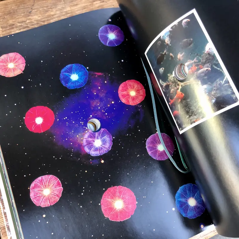 水玉の幻想 ミナペルホネン Amazon.co.jp: 水玉の幻想 特装版 皆川明 mina perhonen セット