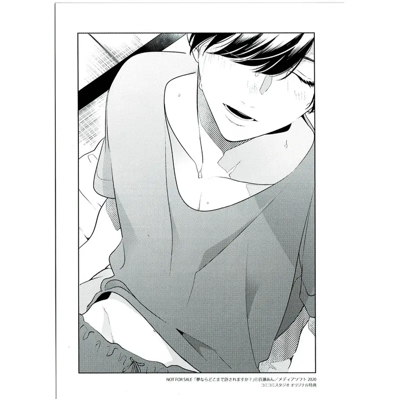 百瀬あん 『夢ならどこまで許されますか?』 コミコミスタジオ特典