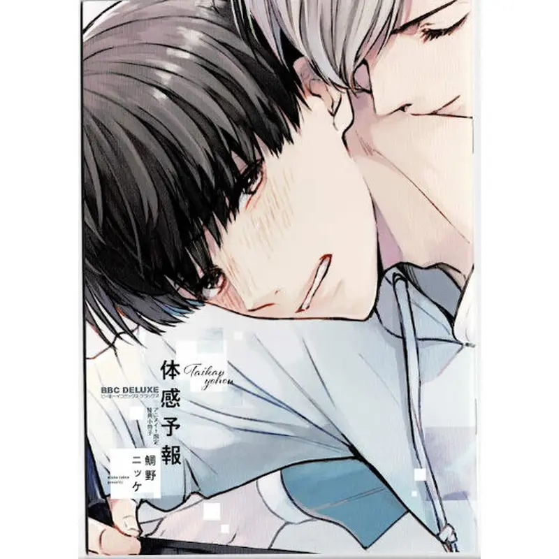 鯛野ニッケ 『 体感予報』 アニメイト 小冊子【BLグッズ】 | K-BOOKS