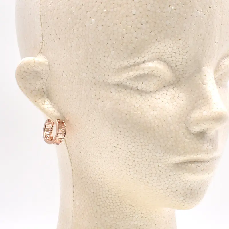 Vivienne Westwood WESTMINSTER ピアス 新品 - 通販 - hydro-mineral.net